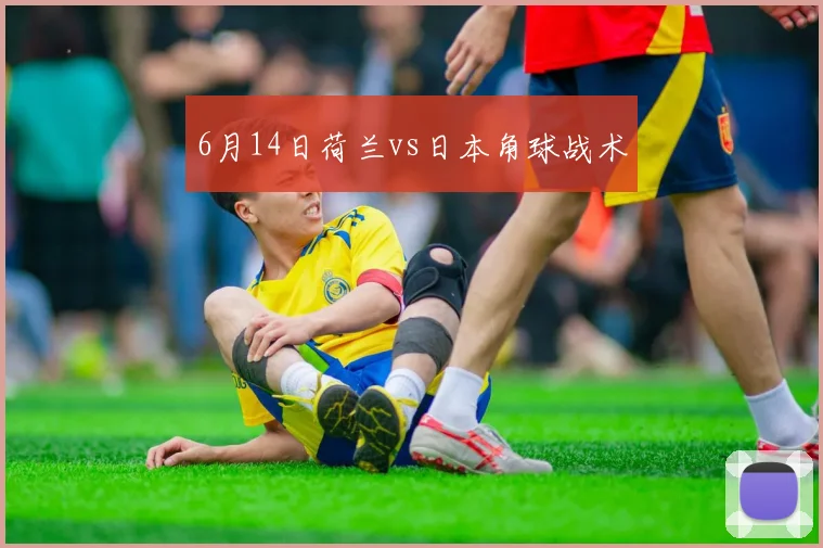 6月14日荷兰vs日本角球战术